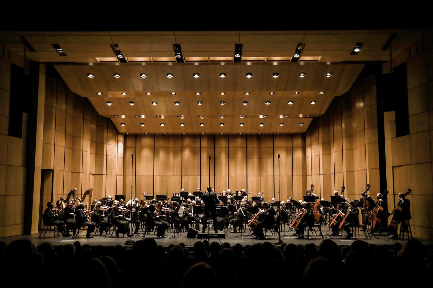 Ensemble of musicians